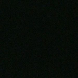 Meet your Posher, Haddy